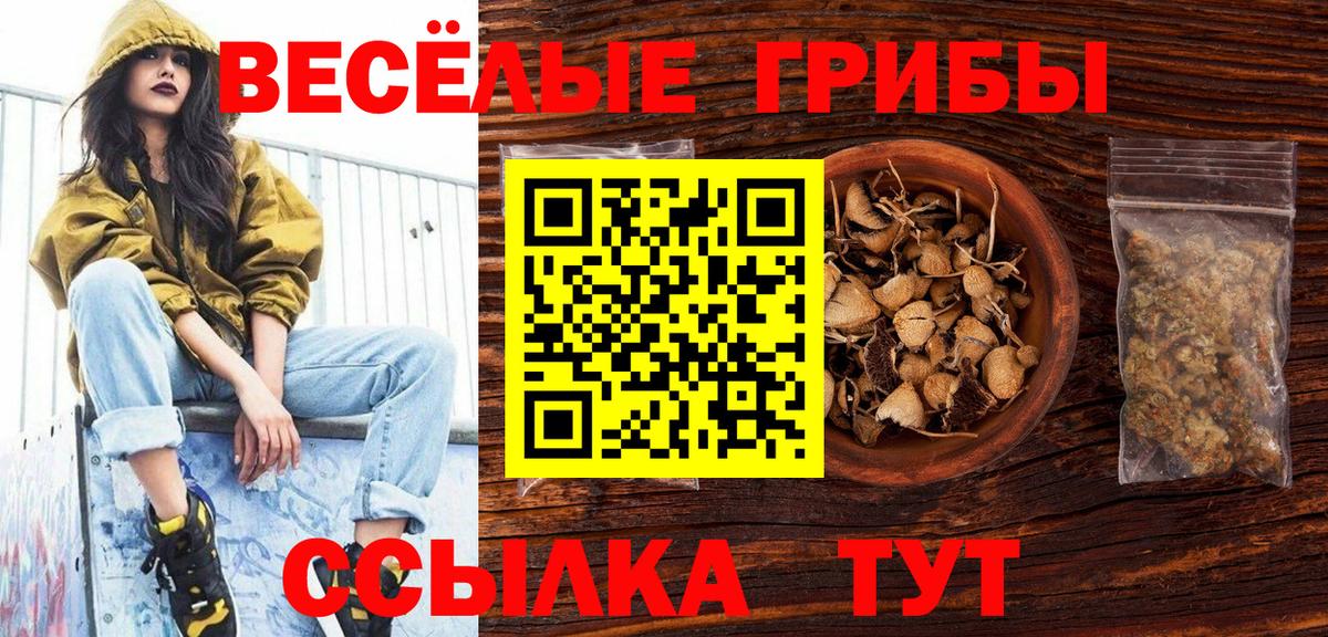 Псилоцибиновые грибы мухоморы  Галлюциногенные грибы прущие грибы  купить закладку  Богданович  Вход с VPN 