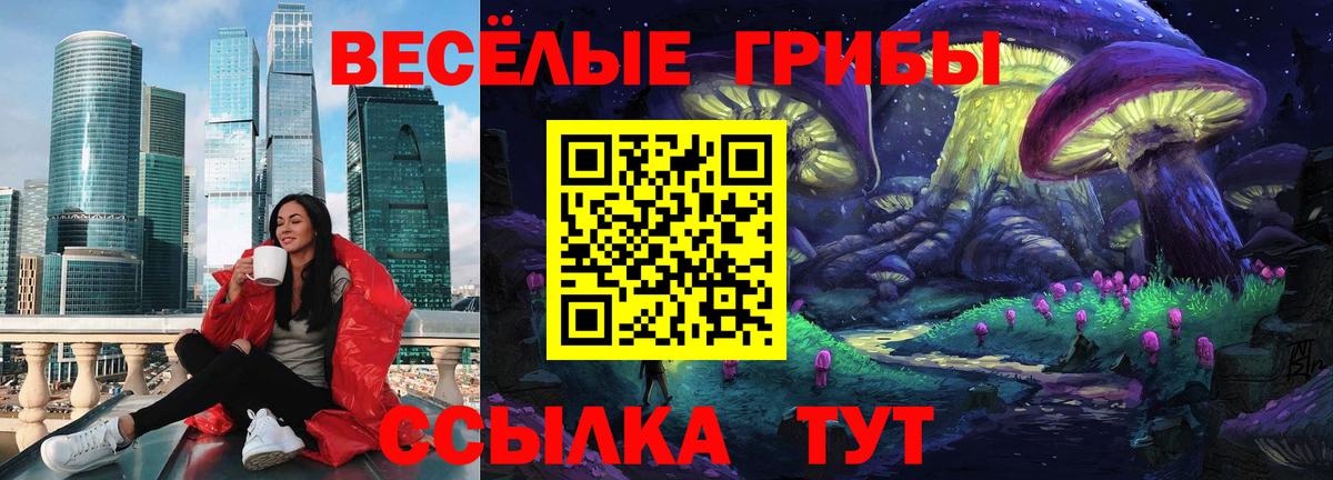Галлюциногенные грибы Cubensis Богданович